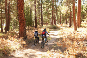 Naklejka premium African American Couple Cycling Through Fall Woodland