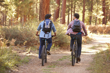 Fototapeta premium Gay Male Couple Cycling Through Fall Woodland
