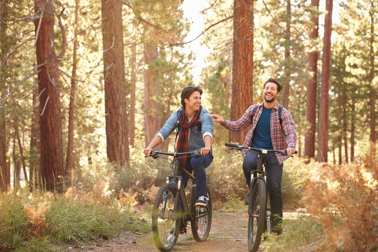 Gay Male Couple Cycling Through Fall Woodland