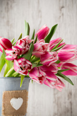 Tulips on the grey  background.