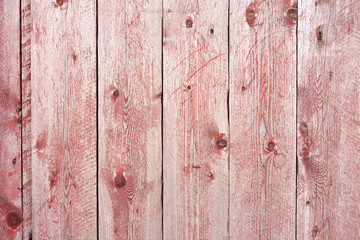 Grunge Wood panels with old painted for background