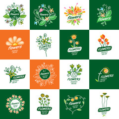 flower vector logo
