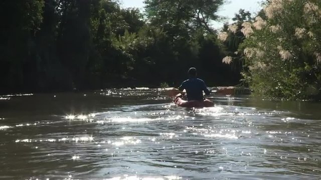 Man rowing canoe down a sparkling river between banks covered with dense green bush and reeds.