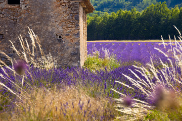 Provence, France