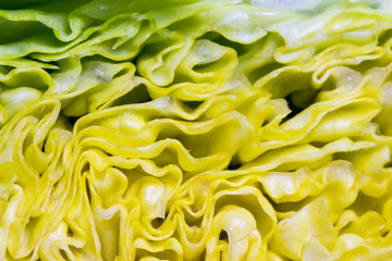 Lettuce leaf