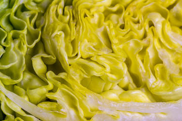 Lettuce leaf