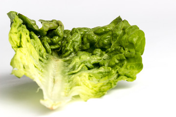 Lettuce leaf