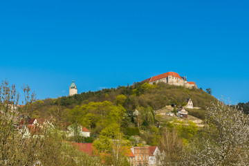 Fototapeta na wymiar Blick zu Schloss Neuenburg und Burgfried in Freyburg/Unstrut, Sachsen-Anhalt