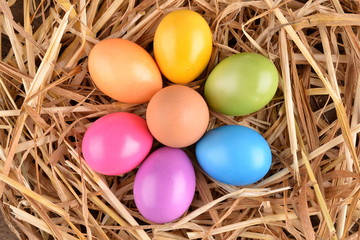 colorful easter eggs on straw