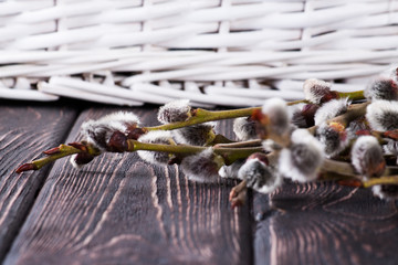 willow branch on wood