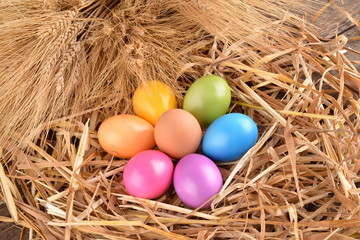 Fototapeta premium colorful easter eggs on straw
