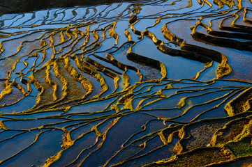 Fototapeta na wymiar Rice Terraced field in water season in YuanYang, China