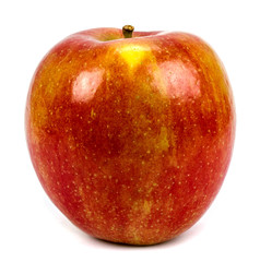 Red apple on white background
