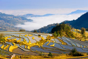 Afwasbaar Fotobehang China Rijst Terrassenveld in waterseizoen in YuanYang, China