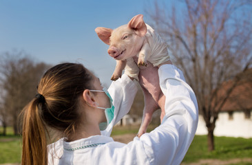 Veterinarian girl raising piglet in the air © Budimir Jevtic