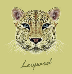 Fototapeta na wymiar Leopard animal face. Vector African, Asian wild cat head portrait. Realistic fur portrait of exotic leopard isolated on yellow background.