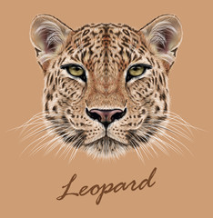 Fototapeta na wymiar Leopard animal face. Vector African, Asian wild cat head portrait. Realistic fur portrait of exotic leopard isolated on beige background.
