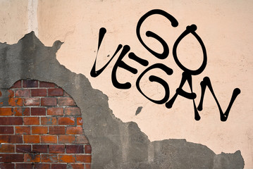 Handwritten graffiti Go Vegan sprayed on the wall, anarchist aesthetics 