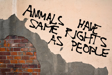 Handwritten graffiti Animals Have Same Rights As People sprayed on the wall, anarchist aesthetics 