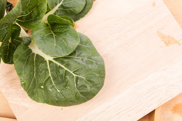 green bok choy vegetable on wooden background