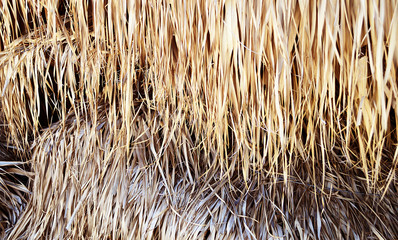 Thatch background