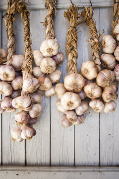 garlics
