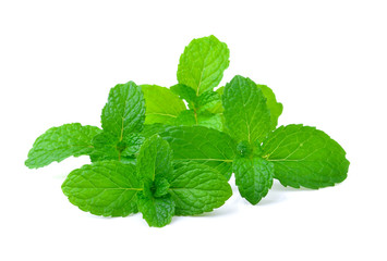 mint on white background