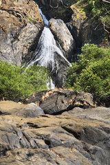 Waterfall in Karnataka. India
