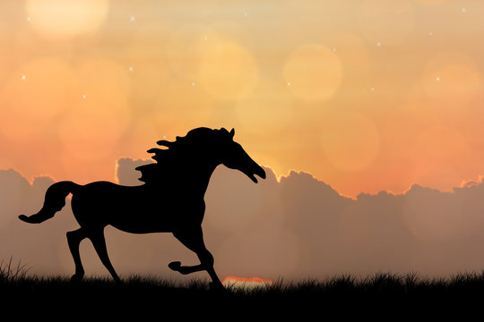 Silhouette of horse on sunset background