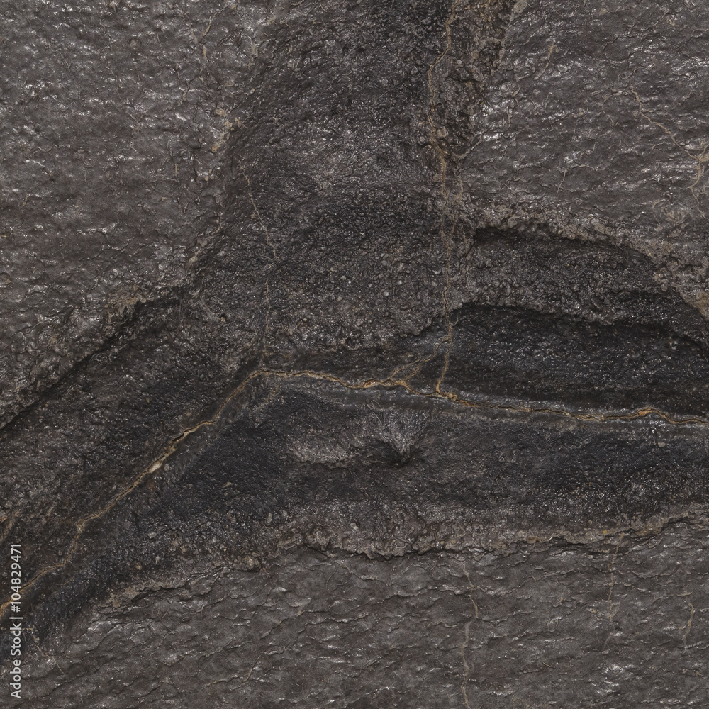 Poster Design on stone for pattern and background