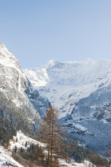 Fototapeta na wymiar Grindelwald, Dorf, Bergdorf, Alpen, Schweizer Berge, Grindelwaldgletscher, Gletscherschlucht, Fieschhörner, Schreckhorn, Eiger, Berner Oberland, Winter, Schweiz