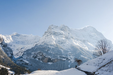 Fototapeta na wymiar Grindelwald, Dorf, Bergdorf, Eiger, Eigernordwand, Gletscherschlucht, Grindelwaldgletscher, Alpen, Schweizer Berge, Berner Oberland, Winter, Schweiz