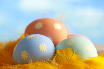 Easter eggs and feathers on sky background