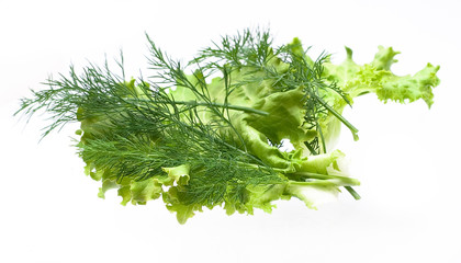Fresh salad, parsley, dill on white background