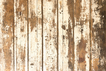 wood texture/wood texture background