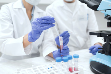 Fototapeta premium close up of scientists filling test tube in lab