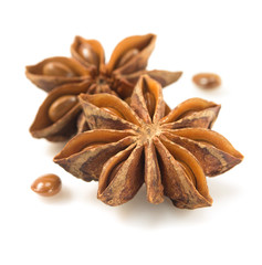 anise star on white background