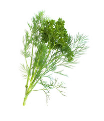 Parsley, dill, bunch