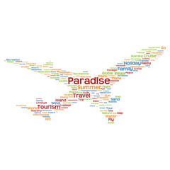 Vector conceptual travel or tourism plane word cloud