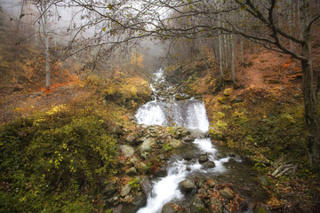 Ruscello appennino toscano