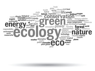 Vector conceptual ecology word cloud isolated