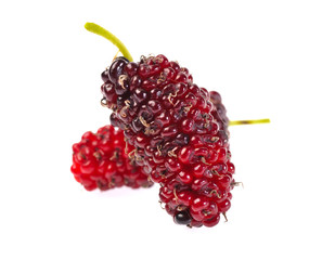 mulberry isolated on white background