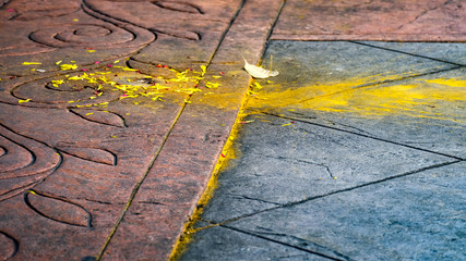Yellow colored blossom powdered on the street 