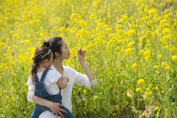 Fototapeta premium 菜の花畑で遊ぶ親子