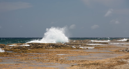 Bonaire island Atlantic ocean wild side beach