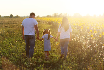 Молодая семья (муж, беременная жена, дочь) гуляют  на поляне где растут подсолнухи в светлый яркий солнечный день