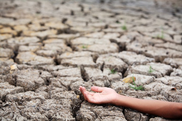 hand lay down on dry land