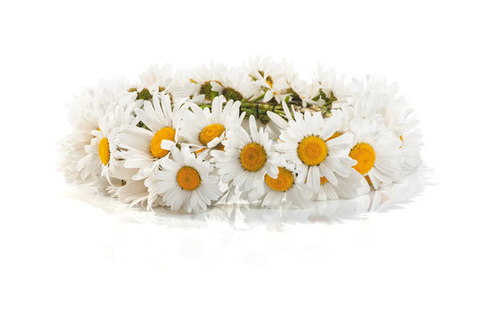 Daisy Wreath On A White Background