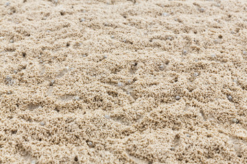 Ghost crab hole on the beach