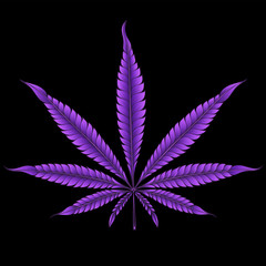 Terence McKenna - Marijuana Is the Lifeblood of My Inspiration 240_F_104840698_pHQVvpE6KZero8kBcpv4KLBVPTIEDJ2s